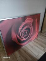 Kader met rode roos, Enlèvement