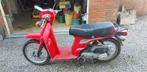 Honda SH scoopy 50 83', Motoren, Particulier