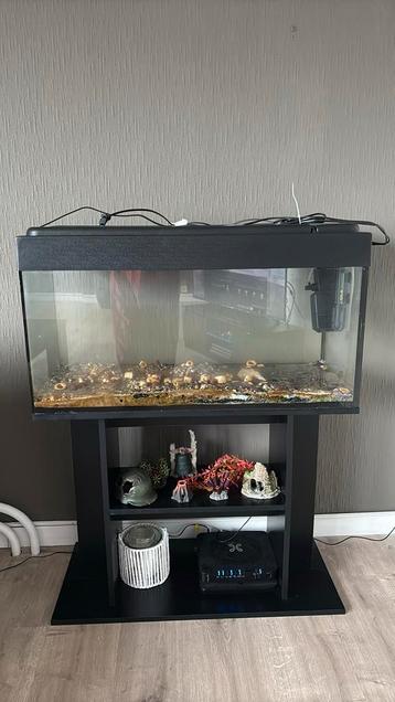 Aquarium, Dieren en Toebehoren, Ophalen, Zo goed als nieuw, Leeg aquarium
