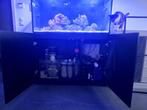 Aquarium marin, Dieren en Toebehoren, Vissen | Aquaria en Toebehoren, Ophalen, Zo goed als nieuw, Leeg aquarium
