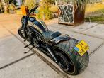 Brute Harley Night Rod Special | 300 achterwiel | Top Custom, Motoren, Motoren | Harley-Davidson, 2 cilinders, ABS, Particulier