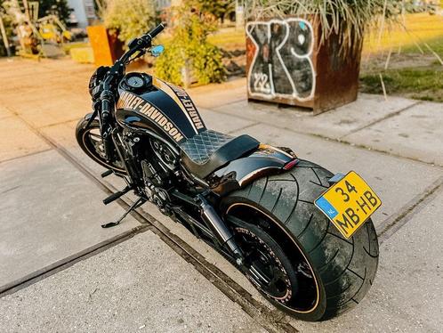 Brute Harley Night Rod Special | 300 achterwiel | Top Custom, Motoren, Motoren | Harley-Davidson, Particulier, meer dan 35 kW