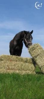 Hooi, Zakelijke goederen, Landbouw | Veevoer, Ophalen