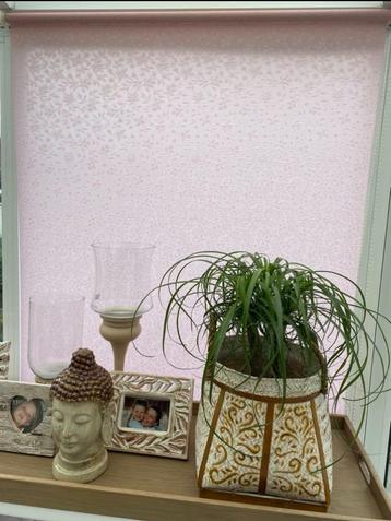 ROZE RAAMBEKLEDING LUXAFLEX ROLGORDIJN beschikbaar voor biedingen