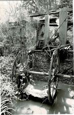 Denderwindeke - Schoreelsmolen, Verzamelen, Verzenden, 1980 tot heden, Ongelopen, Oost-Vlaanderen