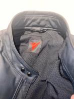 Veste de moto Dainese en cuir de vachette, Hommes, DAINESE, Neuf, avec ticket, Manteau | cuir