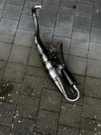 Carbon Yasuni r uitlaat minarelli horizontaal nieuwstaat, Enlèvement ou Envoi, Comme neuf, Bloc