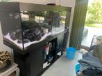 Juwel Rio 400 met meubelkast en inhoud, Dieren en Toebehoren, Ophalen, Gebruikt, Gevuld zoetwateraquarium