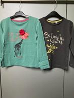 maat 122 set 2 stuks T-shirt lange mouw (groen en grijs), Enlèvement ou Envoi, Utilisé, Fille, Chemise ou À manches longues