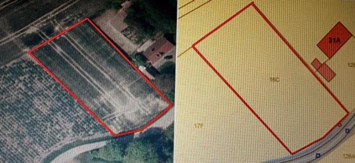 Terrain agricole 26a23ca Hevelweg Melden Audenaarde, Immo, Terrains & Terrains à bâtir, 1500 m² ou plus