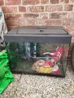 Aquarium, Dieren en Toebehoren, Ophalen, Gebruikt, Grind, Zand of Voedingsbodem