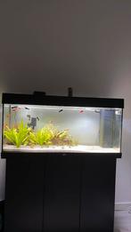 Juwel Rio 180 + meubel en accessoires, Dieren en Toebehoren, Ophalen, Zo goed als nieuw