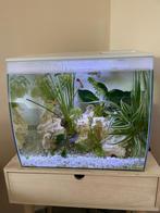 Aquarium fluval flex 34, Dieren en Toebehoren, Ophalen of Verzenden