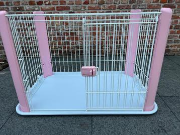 puppyren roze met bodem beschikbaar voor biedingen