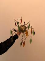 Gekleurde kristallen wandlamp, Enlèvement