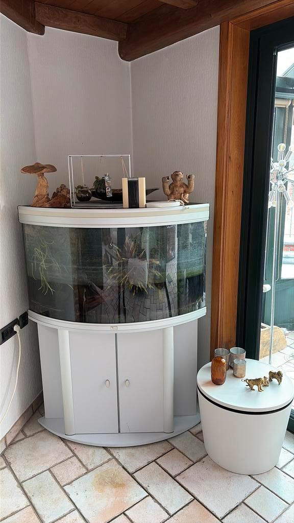 Aquarium, Dieren en Toebehoren, Vissen | Aquaria en Toebehoren, Gebruikt, Leeg aquarium, Ophalen
