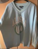 Trui maat M valt groot, Enlèvement ou Envoi, Comme neuf, Taille 38/40 (M)