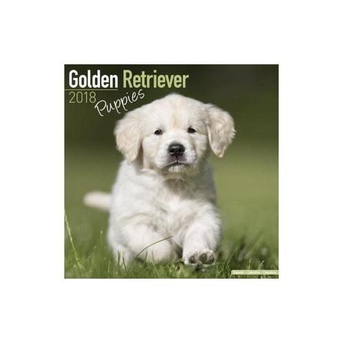 Calendrier des chiots Golden Retriever 2018, Divers, Calendriers, Neuf, Calendrier annuel, Enlèvement ou Envoi