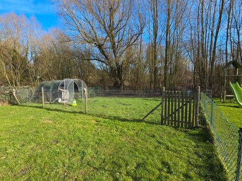 Clôture pour Poules (13m), Dieren en Toebehoren, Pluimvee | Toebehoren, Zo goed als nieuw