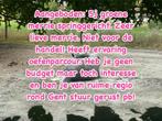 Op zoek naar paard?, Dieren en Toebehoren, Paarden