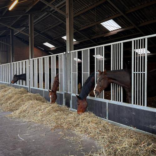 Voerhekken | Groepshuisvesting | Voerwanden | NIEUW, Dieren en Toebehoren, Stalling en Weidegang, Opfok, Stalling, Weidegang, Accessoires