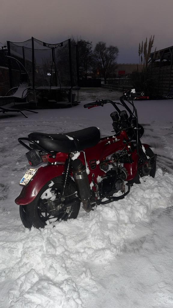 Lowrider dax, Vélos & Vélomoteurs, Cyclomoteurs | Honda, Comme neuf, Enlèvement