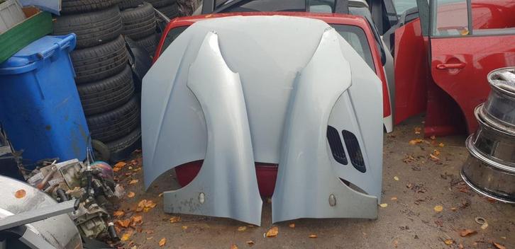 PEUGEOT 206 VOORSCHERMEN BJ 98 TOT 2008, Auto-onderdelen, Carrosserie, Spatbord, Gebruikt, Ophalen of Verzenden