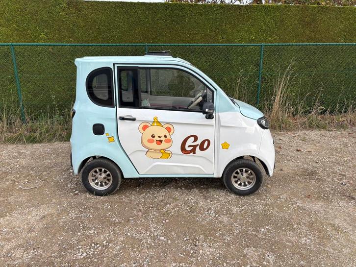 Golf cart, Diversen, Brommobielen en Scootmobielen, Ophalen