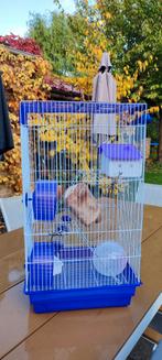 Hamster kot., Ophalen, Kooi, Gebruikt, 60 tot 90 cm