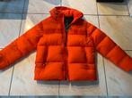 Tommy Hilfiger high loft puffer maat M, Neuf, Enlèvement ou Envoi, Tommy Hilfiger, Blouson