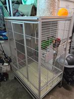 Cage perroquet complète avec nid faire offre..., Ophalen, Gebruikt, Metaal, Vogelkooi