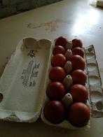 Zeer donkere eieren van Marans te koop aangeboden
