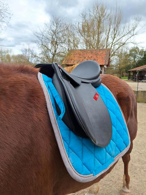 Zadel – 18 inch, Medium boomwijdte, Dieren en Toebehoren, Paarden en Pony's | Zadels, Zo goed als nieuw, Ophalen of Verzenden