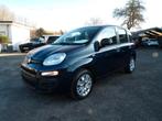 Fiat Panda 1.2i Clima/CT OK/Garanti/78 000 km, Autos, Fiat, 1242 cm³, Achat, Boîte manuelle, Entretenue par le concessionnaire