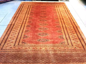 Antiek tribal tapijt (Tekke Bukhara)Geknoopt in Turkmenistan
