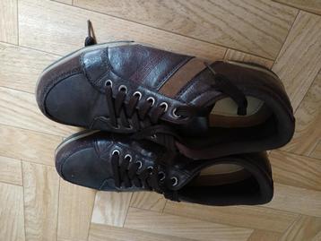 bruine heren sportschoenen  beschikbaar voor biedingen