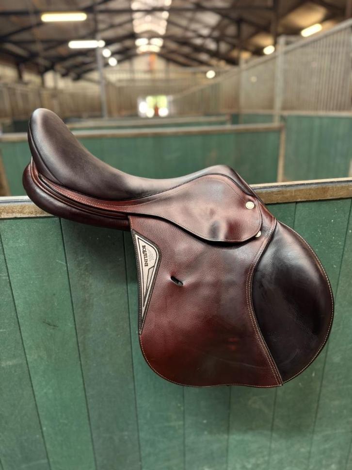 Equiline talent springzadel, Dieren en Toebehoren, Paarden en Pony's | Zadels, Gebruikt, Springen, Ophalen