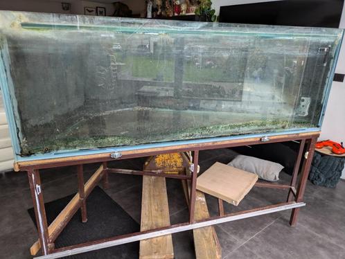 Te koop grote aquarium + toebehoren, Dieren en Toebehoren, Vissen | Aquaria en Toebehoren, Gebruikt, Leeg aquarium, Ophalen
