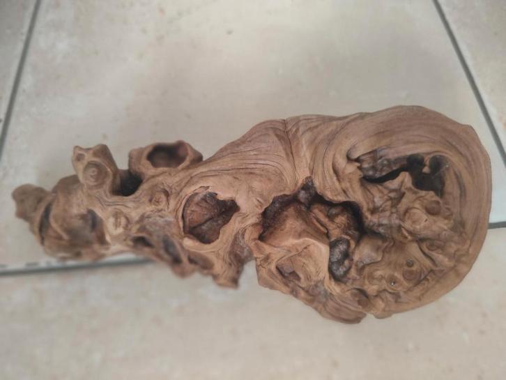 Bois pour Aquariophilie et terrarium, Dieren en Toebehoren, Vissen | Aquaria en Toebehoren, Zo goed als nieuw, Plant(en), Steen of Hout