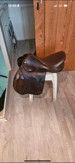 Springzadel moet weg, Dieren en Toebehoren, Ophalen