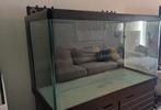 Zeeaquarium, Animaux & Accessoires, Poissons | Aquariums & Accessoires, Comme neuf, Enlèvement, Aquarium vide