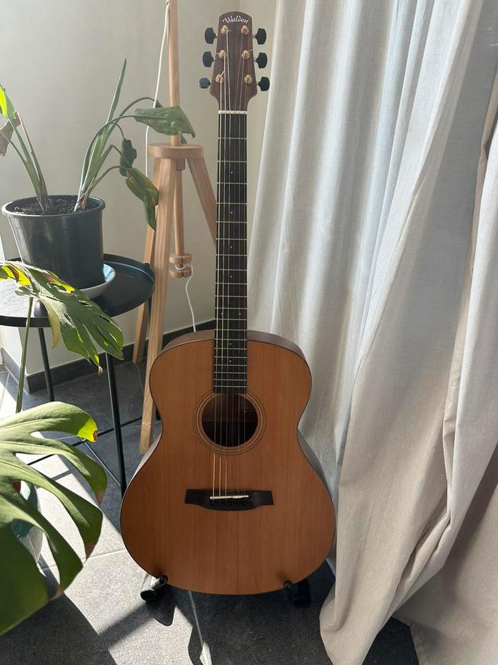 Walden SupraNatura G2070, Muziek en Instrumenten, Snaarinstrumenten | Gitaren | Akoestisch, Zo goed als nieuw, Overige typen, Met koffer