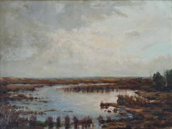 ONLEESBAAR / HEIDELANDSCHAP / OLIEVERF / 72x91cm / KADER SIG, Antiek en Kunst, Kunst | Schilderijen | Klassiek, Ophalen