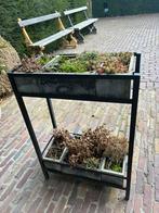 Plantenrekje Serax, Tuin en Terras, Bloembakken en Plantenbakken, Ophalen of Verzenden, Zo goed als nieuw, Steen