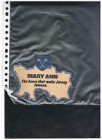 BIERVILTJE JERSEY, Verzenden, Nieuw, Reclamebord, Plaat of Schild