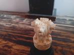 Antieke sculptuur Leeuwen Venetië Netsuke begin 20e eeuw Ant, Ophalen of Verzenden