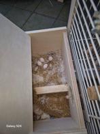 Koppel agaporis meet kooi, Dieren en Toebehoren, Ophalen of Verzenden, Zo goed als nieuw