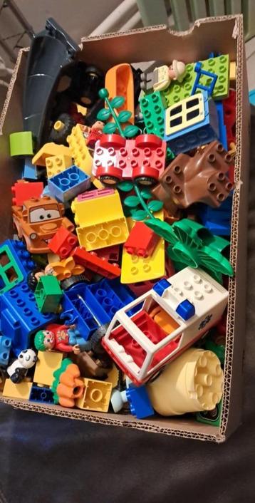 duplo beschikbaar voor biedingen