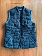 Bodywarmer zwart met een glitter erdoorheen maat 38, Vêtements | Femmes, Blousons sans Manches, Enlèvement, Comme neuf, Taille 38/40 (M)