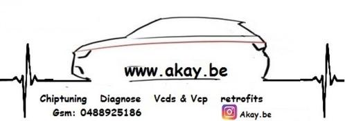 professioneel diagnose & uitlezen  coderen alle automerken, Autos : Pièces & Accessoires, Commande, Alfa Romeo, Audi, BMW, Citroën